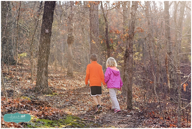 Hughes Mountain | Exploring Missouri