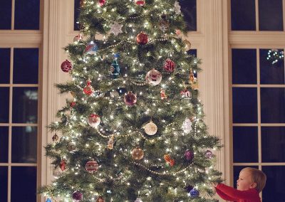 TREE1
