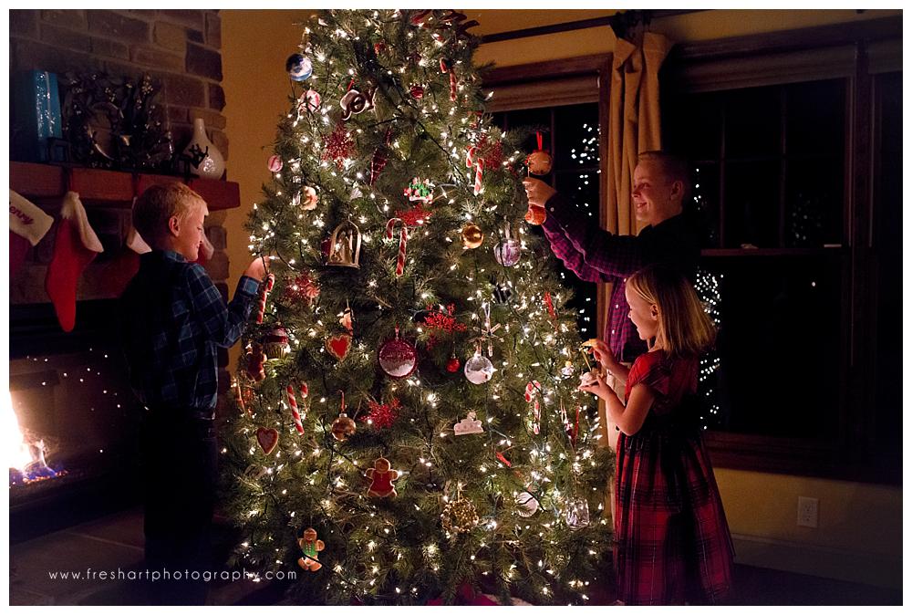 Christmas Tree Mini Sessions  2018